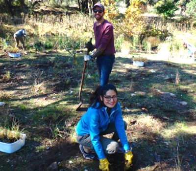 students planting grass