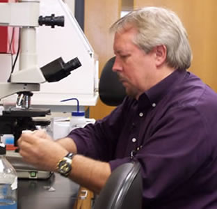 John McCarrey working in a lab