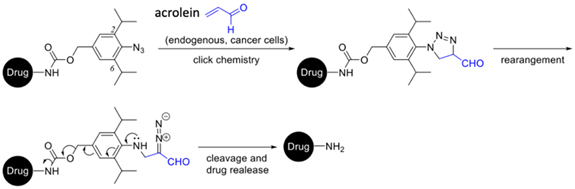 click chemistry of azide and acrolein