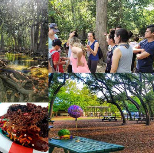 Cibolo Nature Reserve collage