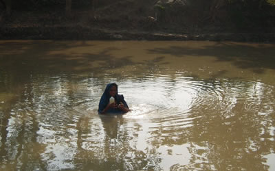 collecting pond water samples