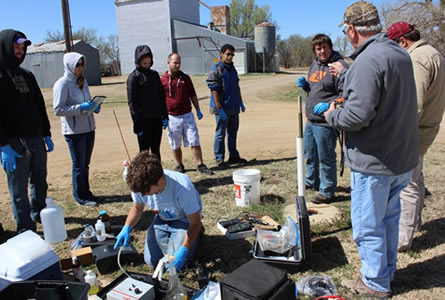 group doing field work