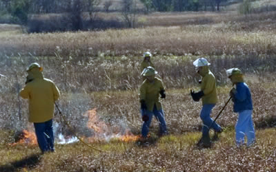 fall prarie burn