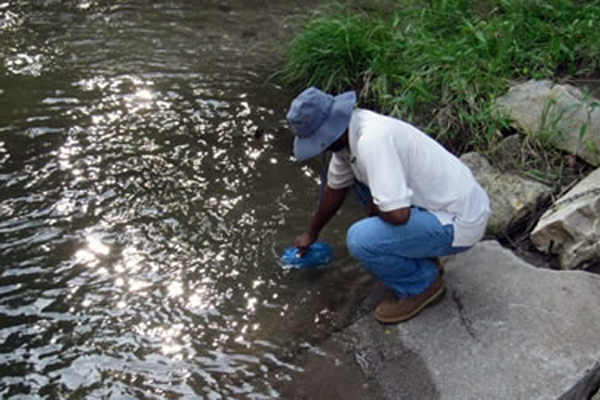 collecting water sample