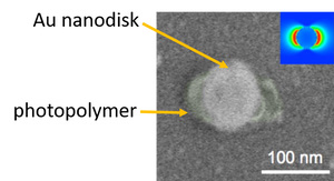 polymer nanostructures