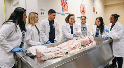 students in lab