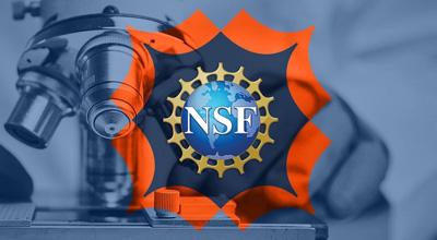 NSF logo