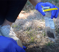 digging in soil