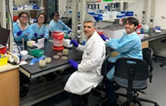 students wotking in the lab