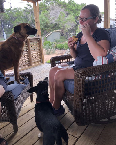 dogs watching student eat