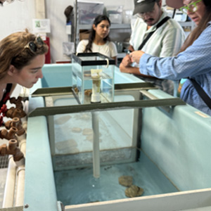 students viewing the San Marcos Salamander