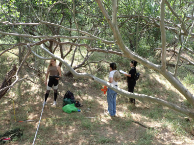 Alyssa Drake, Cesar Lopez, and Benjamin Weber