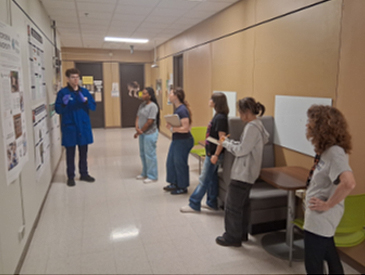 students looking at research posters