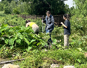 students in river vegeation
