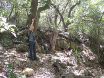 students surveying birds along a ecotone