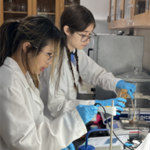 Tia Kline and Anna Malo processing honey samples