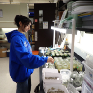 Ananya Seth taking water quality parameters