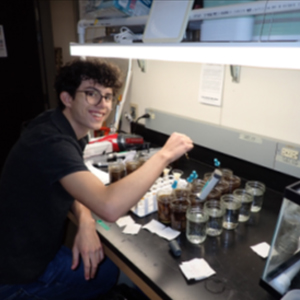 Christian Ramos filtering samples of leaf leachate