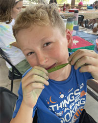 camper holding a leaf with a caterpillar