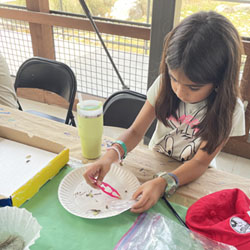 camper making insect box