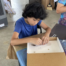 camper making insect box