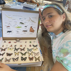 camper displaying insect box