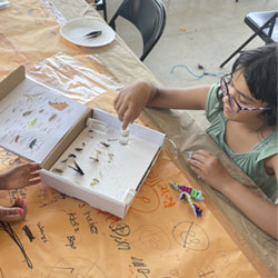 camper making insect box