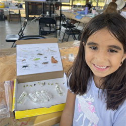 camper making insect box