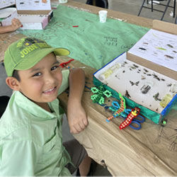 camper displaying insect box