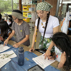 campers working with leaves