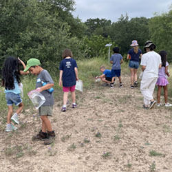 campers collecting insects