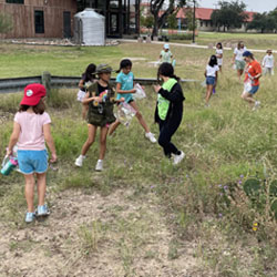 campers collecting insects