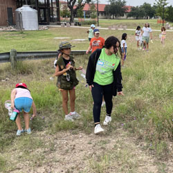 campers collecting insects