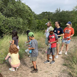 campers collecting insects