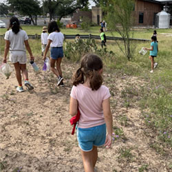 campers collecting insects