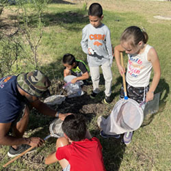 campers catching insects