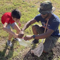 counselor helping camper bag insects