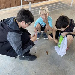 campers observing insect on ground