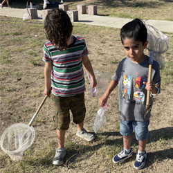 campers catching insects