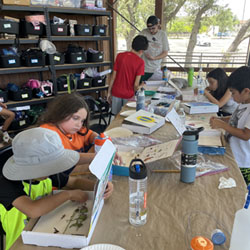 campers making insect boxes