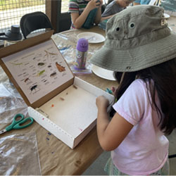 camper making insect box