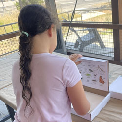 camper making insect box