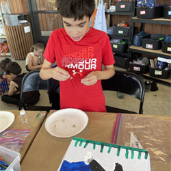 camper making insect box