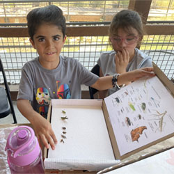 campers displaying insect box