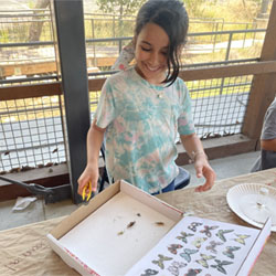 camper displaying insect box