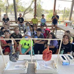 campers looking at display