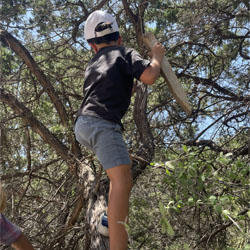 camper climbing tree