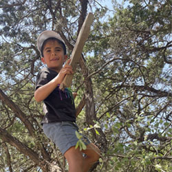 camper climbing tree