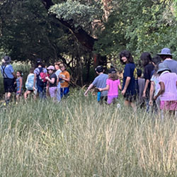 line of campers hiking