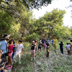 line of campers hiking